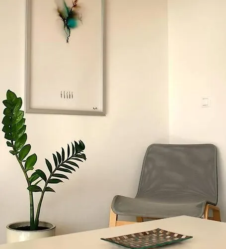 Solearte En Lajares 라 올리바